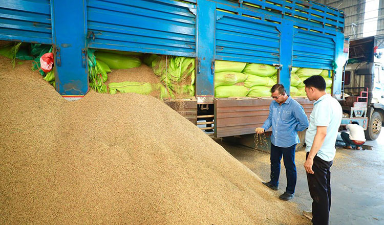 Govt lends revolving credit to over 30 rice mills